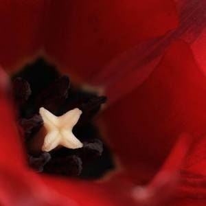 Meet your Posher, Marina